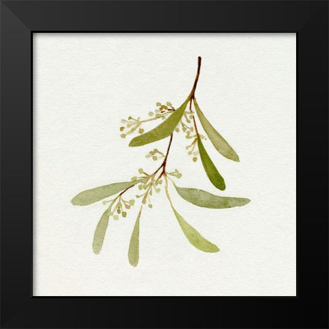 Eucalyptus Collection IV Black Modern Wood Framed Art Print by Caroline, Emma