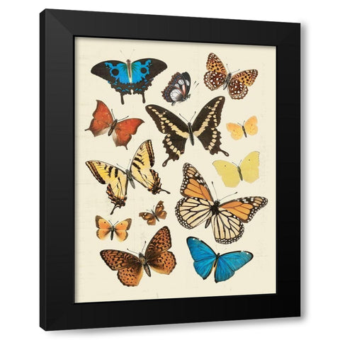 Collected Flutter II Black Modern Wood Framed Art Print by Barnes, Victoria