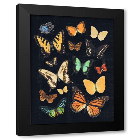 Collected Flutter III Black Modern Wood Framed Art Print by Barnes, Victoria