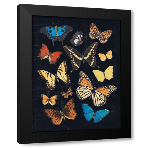 Collected Flutter IV Black Modern Wood Framed Art Print with Double Matting by Barnes, Victoria