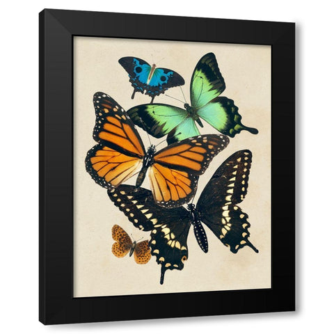 Collaged Butterflies I Black Modern Wood Framed Art Print by Barnes, Victoria