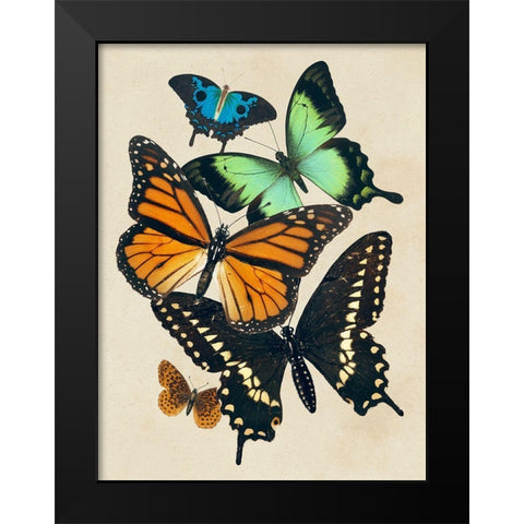 Collaged Butterflies I Black Modern Wood Framed Art Print by Barnes, Victoria