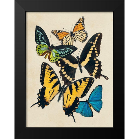 Collaged Butterflies II Black Modern Wood Framed Art Print by Barnes, Victoria
