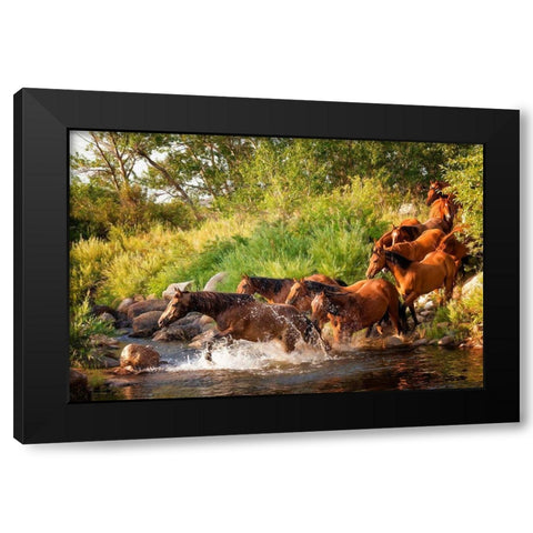 Sunlit Horses IV Black Modern Wood Framed Art Print with Double Matting by PHBurchett