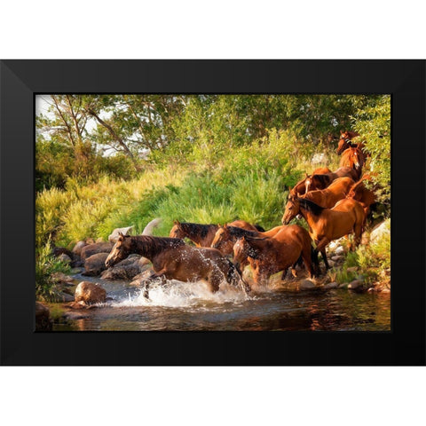 Sunlit Horses IV Black Modern Wood Framed Art Print by PHBurchett