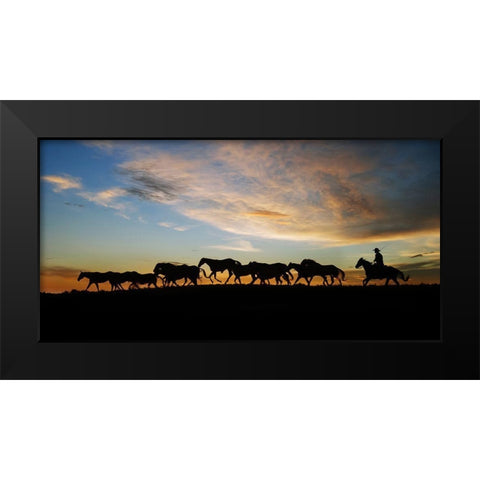 Sunlit Horses V Black Modern Wood Framed Art Print by PHBurchett