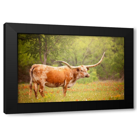 Sunlit Midwest I Black Modern Wood Framed Art Print with Double Matting by PHBurchett
