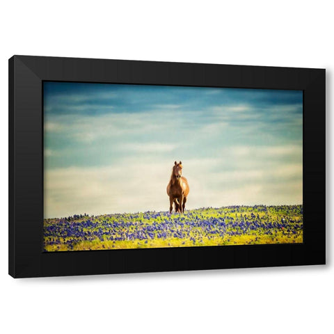 Sunlit Midwest II Black Modern Wood Framed Art Print by PHBurchett