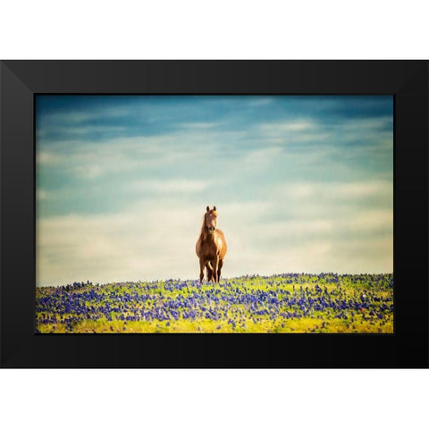 Sunlit Midwest II Black Modern Wood Framed Art Print by PHBurchett