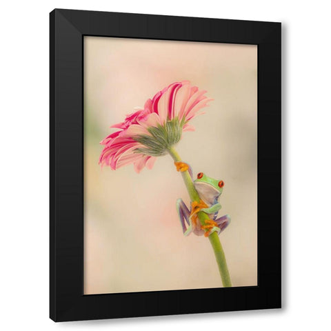 Hanging On I Black Modern Wood Framed Art Print by PHBurchett