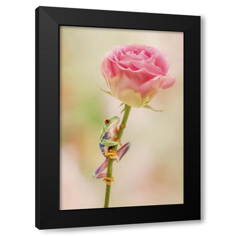 Hanging On II Black Modern Wood Framed Art Print with Double Matting by PHBurchett