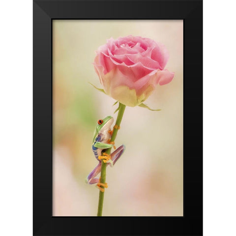 Hanging On II Black Modern Wood Framed Art Print by PHBurchett