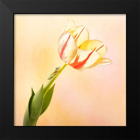 Hanging On III Black Modern Wood Framed Art Print by PHBurchett
