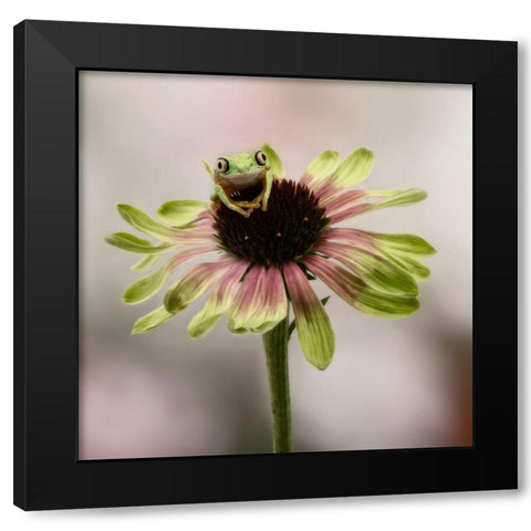Hanging On V Black Modern Wood Framed Art Print with Double Matting by PHBurchett