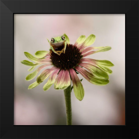 Hanging On V Black Modern Wood Framed Art Print by PHBurchett