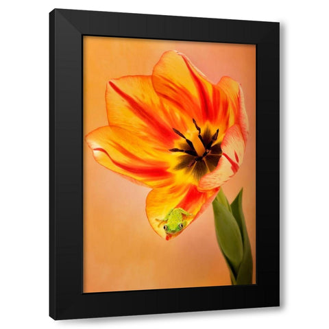 Hanging On VI Black Modern Wood Framed Art Print by PHBurchett