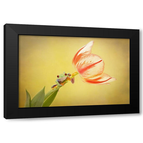 Hanging On VII Black Modern Wood Framed Art Print by PHBurchett