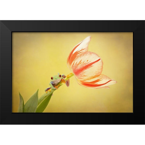 Hanging On VII Black Modern Wood Framed Art Print by PHBurchett