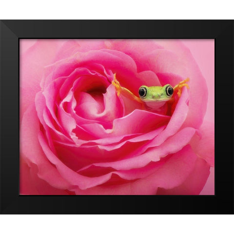 Hanging On VIII Black Modern Wood Framed Art Print by PHBurchett