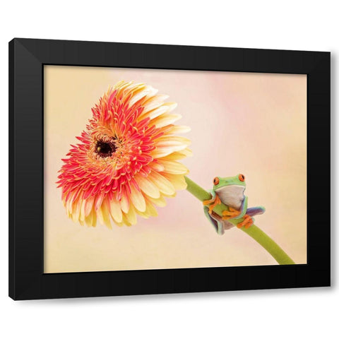 Hanging On IX Black Modern Wood Framed Art Print by PHBurchett