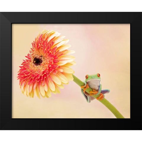 Hanging On IX Black Modern Wood Framed Art Print by PHBurchett