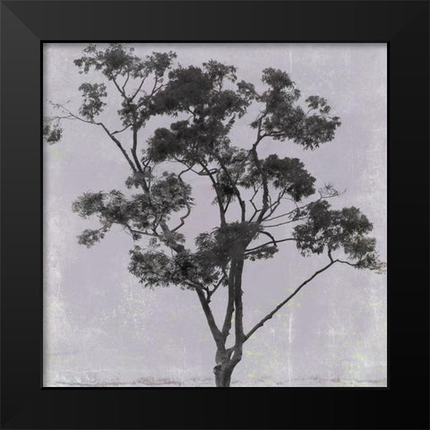 Adajio III Black Modern Wood Framed Art Print by Aryai, Sia