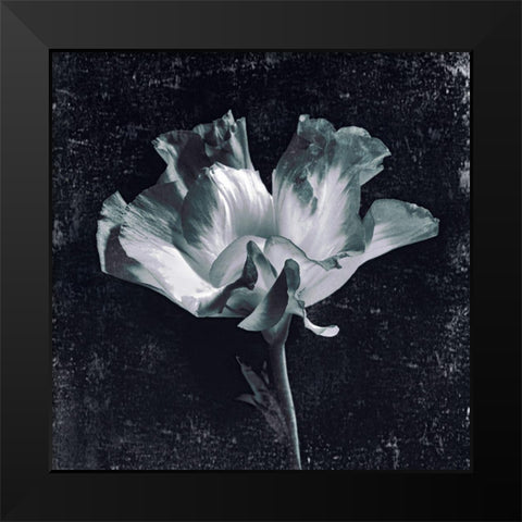 Aurora Blooms III Black Modern Wood Framed Art Print by Aryai, Sia