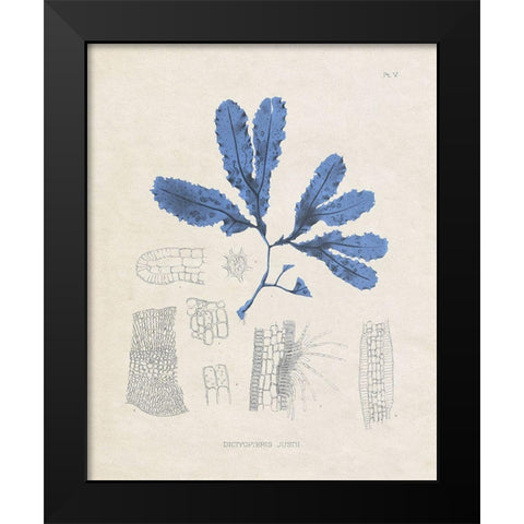 Blue Marine Algae VII Black Modern Wood Framed Art Print by Vision Studio