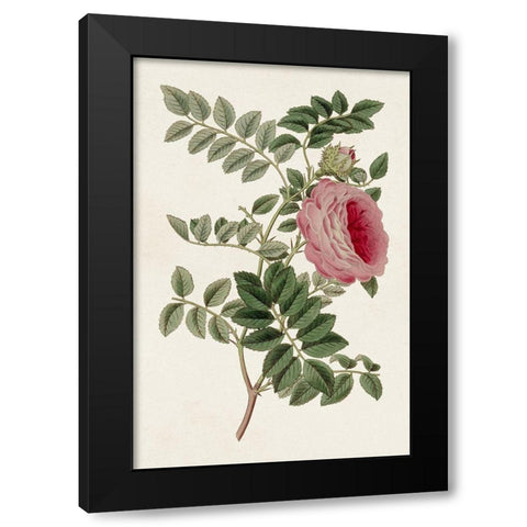 Pink Floral Mix I Black Modern Wood Framed Art Print by Ridgeway