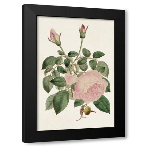 Pink Floral Mix II Black Modern Wood Framed Art Print by Ridgeway