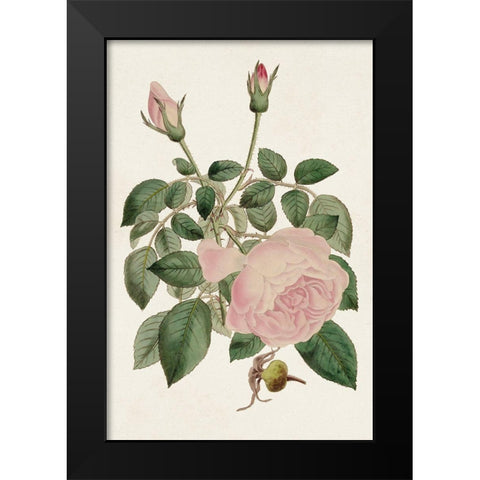 Pink Floral Mix II Black Modern Wood Framed Art Print by Ridgeway