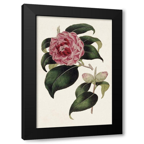 Pink Floral Mix III Black Modern Wood Framed Art Print with Double Matting by Ridgeway