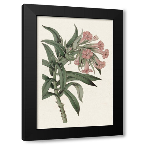 Pink Floral Mix VI Black Modern Wood Framed Art Print by Ridgeway