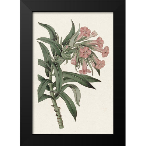 Pink Floral Mix VI Black Modern Wood Framed Art Print by Ridgeway
