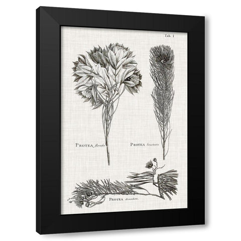 Black And White Protea on Linen I Black Modern Wood Framed Art Print with Double Matting by Vision Studio