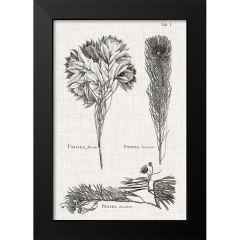 Black And White Protea on Linen I Black Modern Wood Framed Art Print by Vision Studio