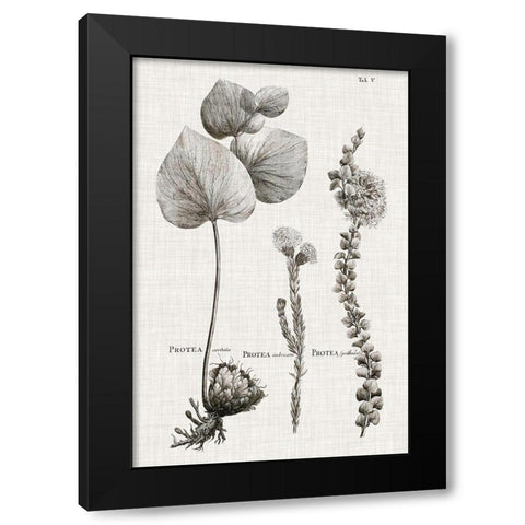Black And White Protea on Linen II Black Modern Wood Framed Art Print by Vision Studio