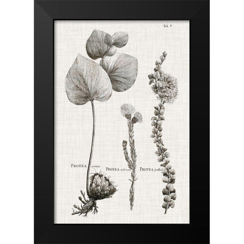 Black And White Protea on Linen II Black Modern Wood Framed Art Print by Vision Studio