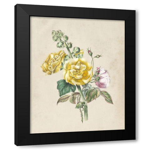 Antique Garden Bouquet II Black Modern Wood Framed Art Print with Double Matting by Vision Studio