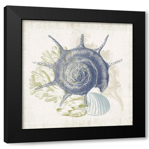 Antique Coastal Ephemera VII Black Modern Wood Framed Art Print with Double Matting by Barnes, Victoria