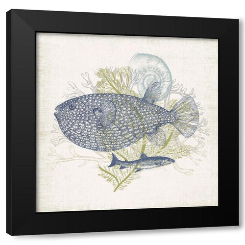 Antique Coastal Ephemera IX Black Modern Wood Framed Art Print with Double Matting by Barnes, Victoria