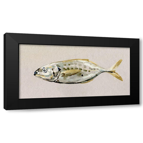 Fresh Fish Study II Black Modern Wood Framed Art Print with Double Matting by Caroline, Emma