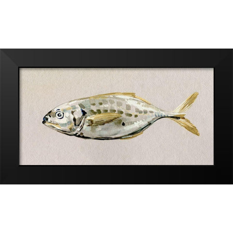 Fresh Fish Study II Black Modern Wood Framed Art Print by Caroline, Emma