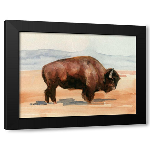 Grazing Bison II Black Modern Wood Framed Art Print with Double Matting by Parker, Jennifer Paxton