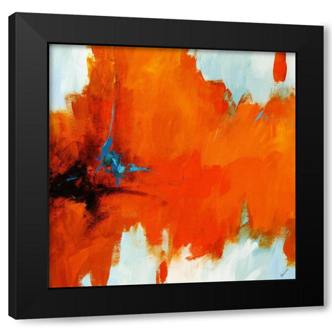 Red Tail III Black Modern Wood Framed Art Print with Double Matting by Edmunds, Sydney