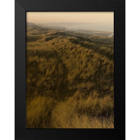 Golden Fog II Black Modern Wood Framed Art Print by Green, Jacob