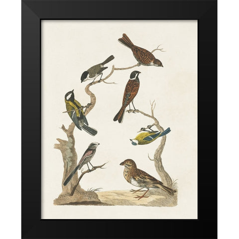 Antique Birds in Nature II Black Modern Wood Framed Art Print by Vision Studio