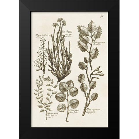 Sepia Botanical Journal VIII Black Modern Wood Framed Art Print by Vision Studio