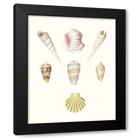 Pastel Knorr Shells I Black Modern Wood Framed Art Print by Knorr, G.W.
