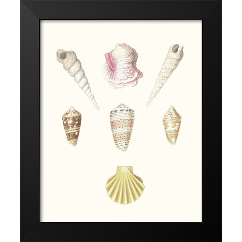 Pastel Knorr Shells I Black Modern Wood Framed Art Print by Knorr, G.W.